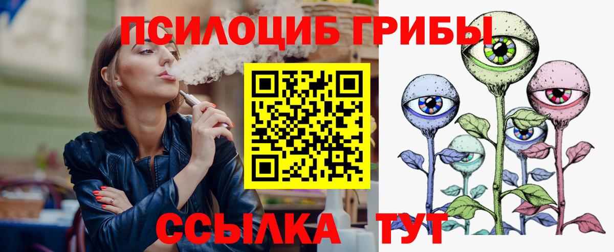 Галлюциногенные грибы Cubensis  Вход с VPN  где найти   Псилоцибиновые грибы мицелий  Домодедово 